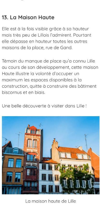 La Petite Place De La Porte De Gand Lille Eksteriør billede